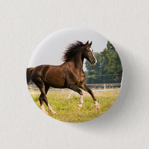 Badge Rond 2,50 Cm Créez votre propre photo de cheval de compagnie pe