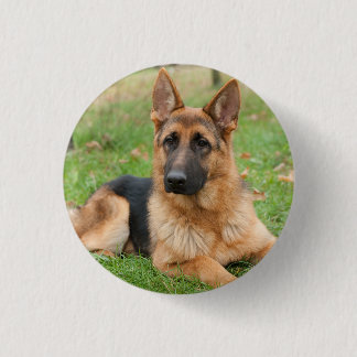 Badge Rond 2,50 Cm Créez Votre Propre Photo de Compagnon à Quatre Pat