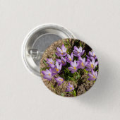 Badge Rond 2,50 Cm Crocus de printemps mignons (Devant & derrière)