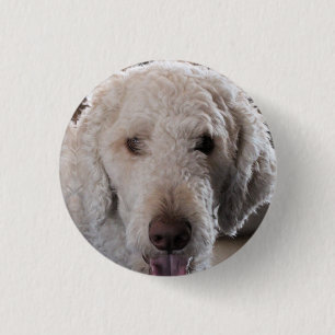 Badge Rond 2,50 Cm Cute