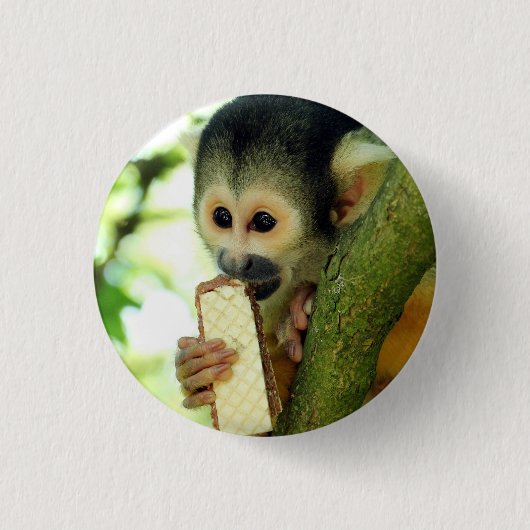 Badge Rond 2,50 Cm Cute Baby Squirrel Monkey Eating a Wafer Biscuit (Devant)
