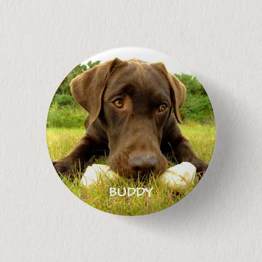 Badge Rond 2,50 Cm Cute chocolat Labrador Custom (Devant)