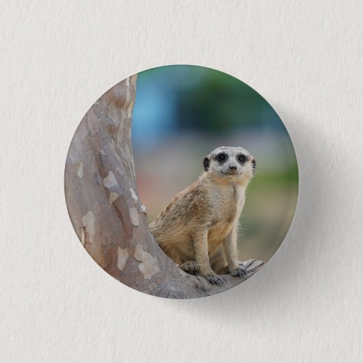 Badge Rond 2,50 Cm Cute Meerkat Sat on Tree (Devant)
