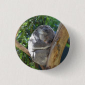 Badge Rond 2,50 Cm Cute Sleeping Koala in Tree (Devant)