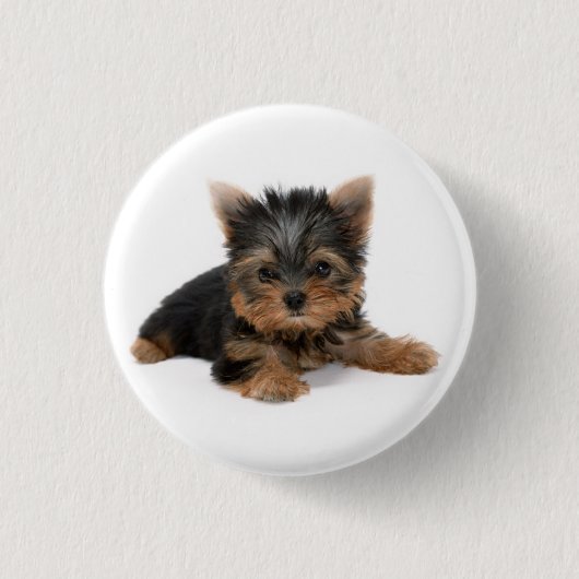 Badge Rond 2,50 Cm Cute Yorkshire Terrier Puppy (Devant)