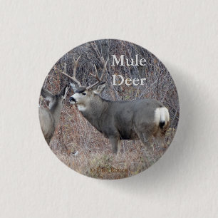 Badge Rond 2,50 Cm D29 Mule deer