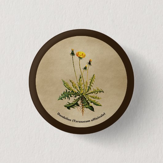 Badge Rond 2,50 Cm Dandelion Sur Vieux Papier (Devant)