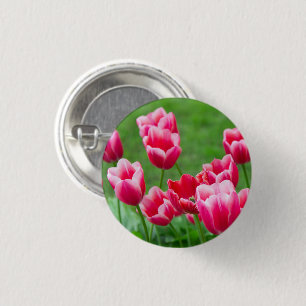 Badge Rond 2,50 Cm De mignonnes tulipes écarlate dans le jardin