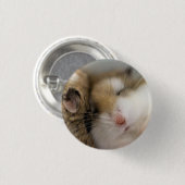 Badge Rond 2,50 Cm Déplacer vers Bob (Devant & derrière)