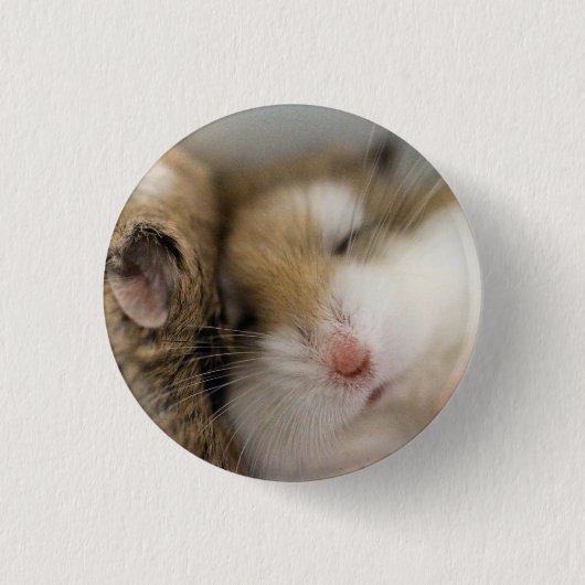 Badge Rond 2,50 Cm Déplacer vers Bob (Devant)