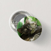 Badge Rond 2,50 Cm Des chatons mignons se câlinent (Devant & derrière)