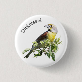 Badge Rond 2,50 Cm Dickcissel Bird