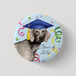 Badge Rond 2,50 Cm Diplômé de Weimaraner