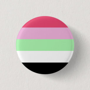 Badge Rond 2,50 Cm Drapeau de fierté récipromantique