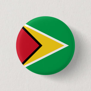 Badge Rond 2,50 Cm Drapeau Guyana