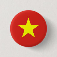 Drapeau vietnamien, Drapeau vietnamien