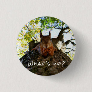 Badge Rond 2,50 Cm Drôle Écureuil mignon Animaux Bonjour Là De Hi