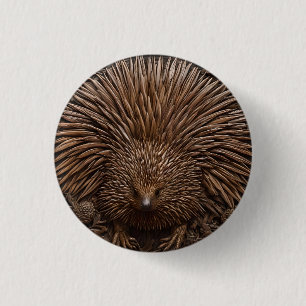 Badge Rond 2,50 Cm Echidna Australienne En Bois Câblé,