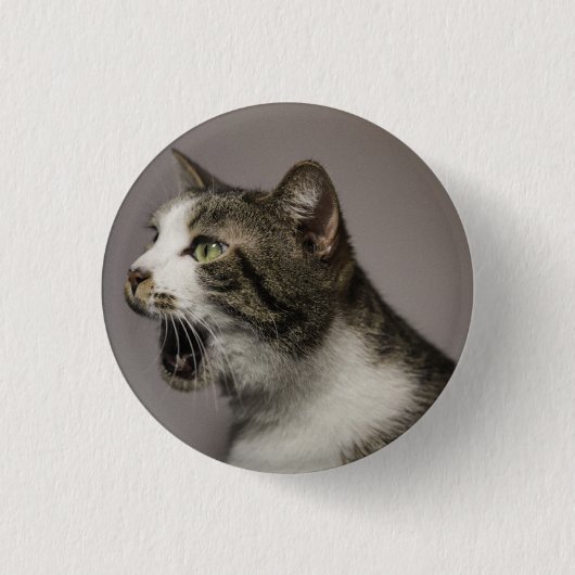 Badge Rond 2,50 Cm Écran Cat Pin (Devant)