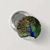Badge Rond 2,50 Cm Écran Peacock Homme (Devant & derrière)