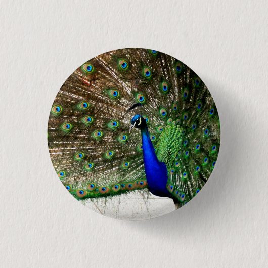 Badge Rond 2,50 Cm Écran Peacock Homme (Devant)