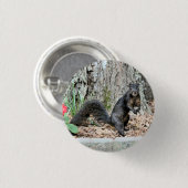 Badge Rond 2,50 Cm Écureuil (Devant & derrière)