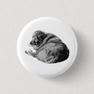Badge Rond 2,50 Cm Épinglette de chien réaliste reposant partageant u