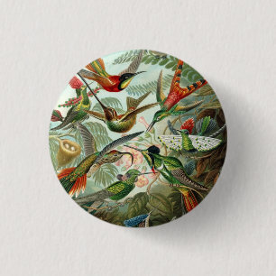 Badge Rond 2,50 Cm Ernst Haeckel Hummingbirds - Les formes artistique