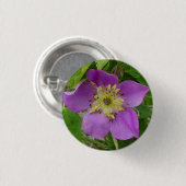 Badge Rond 2,50 Cm F13 Alberta Wild Rose Prickly Rose (Devant & derrière)