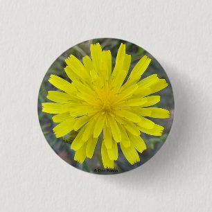Badge Rond 2,50 Cm F16 Jaune King Devil Fleur Sauvage