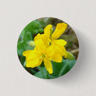 Badge Rond 2,50 Cm F44 Fleurs sauvages jaunes Moutarde sauvage