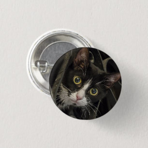 Badge Rond 2,50 Cm Face De Chat Tuxedo À Large Jeu