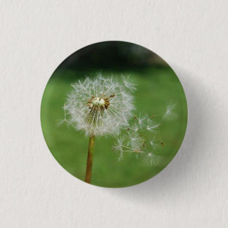 Badge Rond 2,50 Cm Faire un voeu