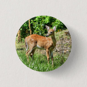 Badge Rond 2,50 Cm Faune