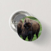 Badge Rond 2,50 Cm Faune  (Devant & derrière)