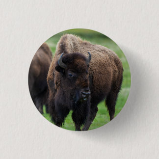 Badge Rond 2,50 Cm Faune 