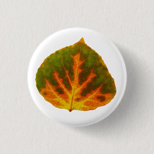 Badge Rond 2,50 Cm Feuille vert orange et jaune d'Aspen #1 (Devant)