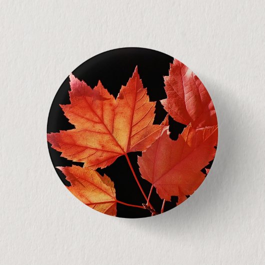 Badge Rond 2,50 Cm Feuilles d'érable (Devant)