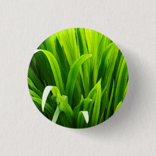 Badge Rond 2,50 Cm Feuilles rétro-éclairées dans un jardin