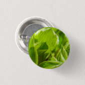 Badge Rond 2,50 Cm Feuilles verts Hosta (Devant & derrière)