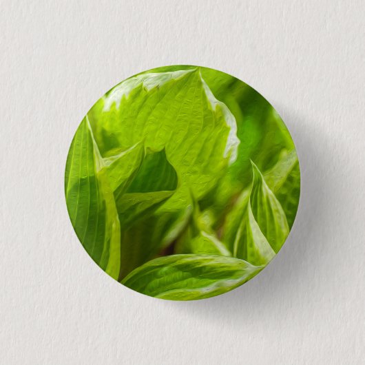 Badge Rond 2,50 Cm Feuilles verts Hosta (Devant)