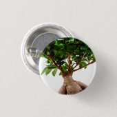 Badge Rond 2,50 Cm Ficus Ginseng (Devant & derrière)