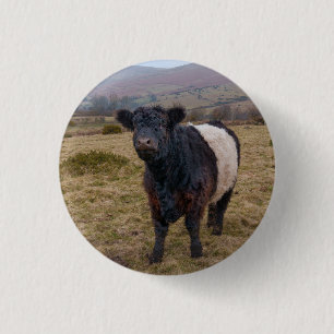 Badge Rond 2,50 Cm Fier debout de la ceinture Galloway sur Dartmoor F