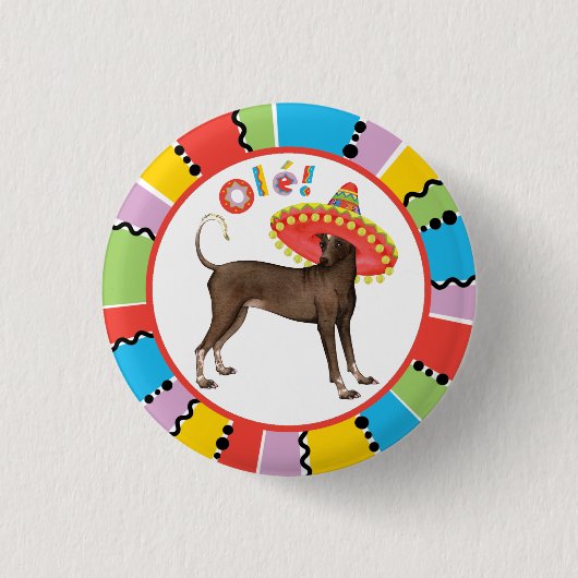 Badge Rond 2,50 Cm Fiesta Xolo (Devant)