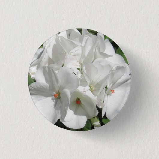 Badge Rond 2,50 Cm Fleur de géranium blanc délicate (Devant)