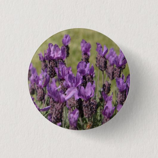Badge Rond 2,50 Cm Fleurs de prairie de lavande (Devant)