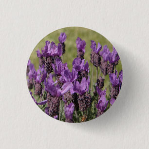 Badge Rond 2,50 Cm Fleurs de prairie de lavande