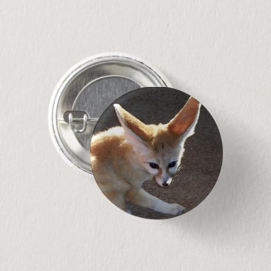 Badge Rond 2,50 Cm Fox de Fennec (Devant & derrière)