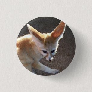 Badge Rond 2,50 Cm Fox de Fennec