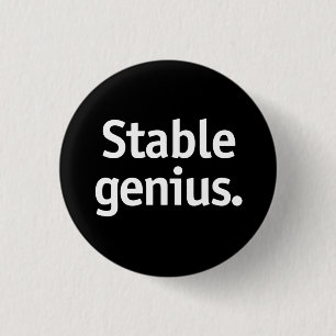 Badge Rond 2,50 Cm Génie stable.